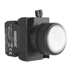 CP100DB  White momentary plastic Push button, 1 N.O. contact