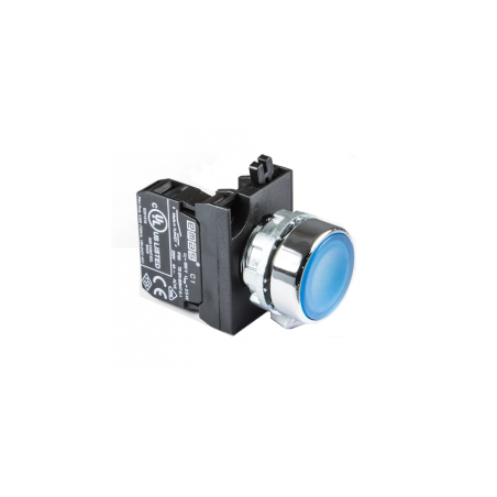 CM100DM  Blue momentary metallic Push button, 1 N.O. contact
