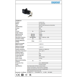 CP100AC20   plastic selector, 2 positions with key, +1 contact NO stay put