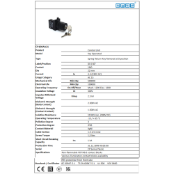 CP100AA21   Selector plastico 2 posiciones con llave,+1 contacto NA  regreso por resorte